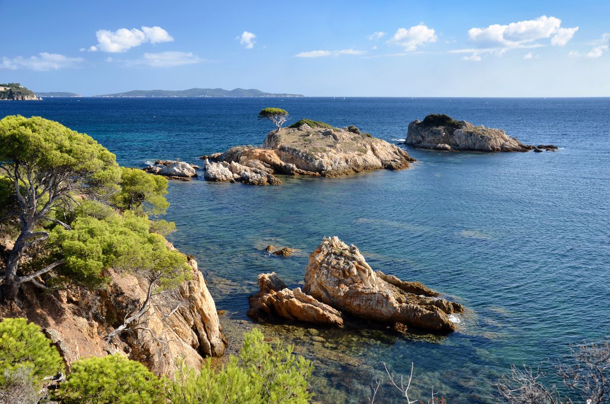 Le Domaine des Pins