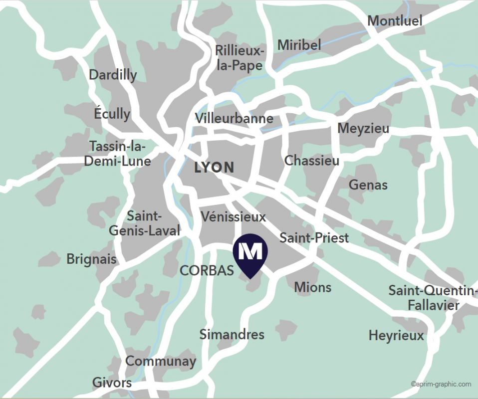 Le Matisse