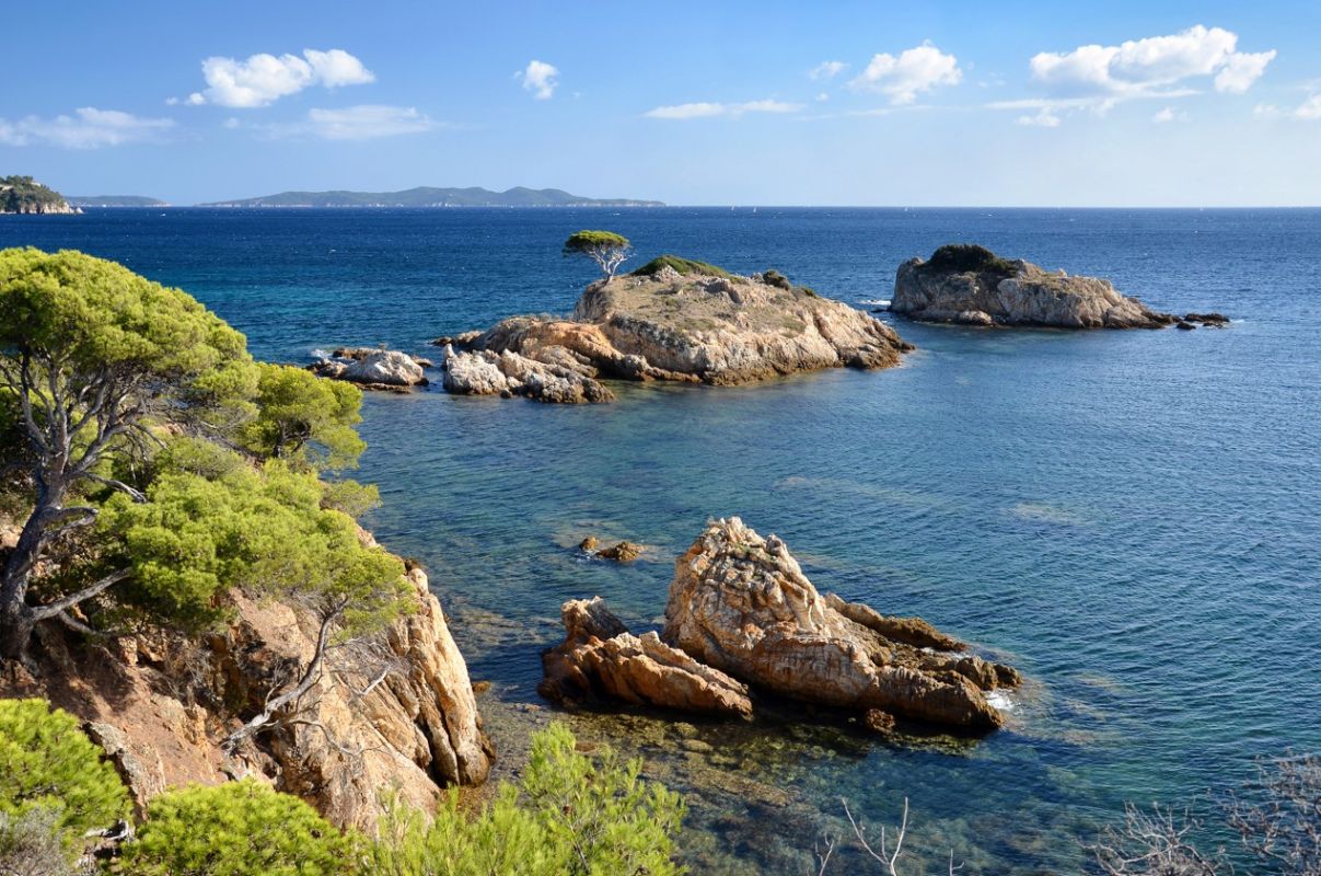 Le Domaine des Pins