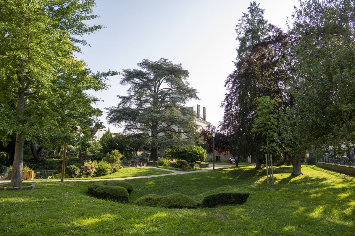 BELVEDERE