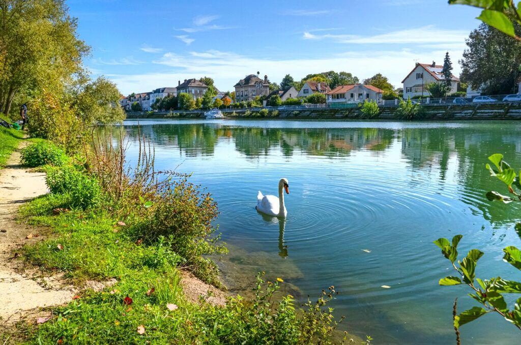 Plein Sud
