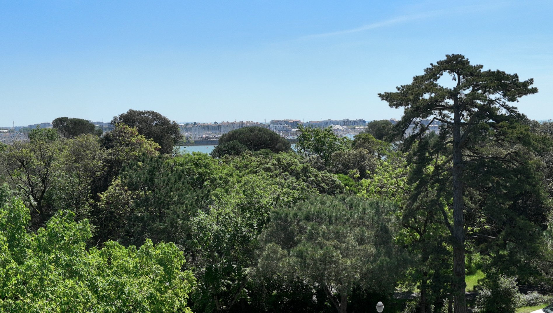 ACACIA