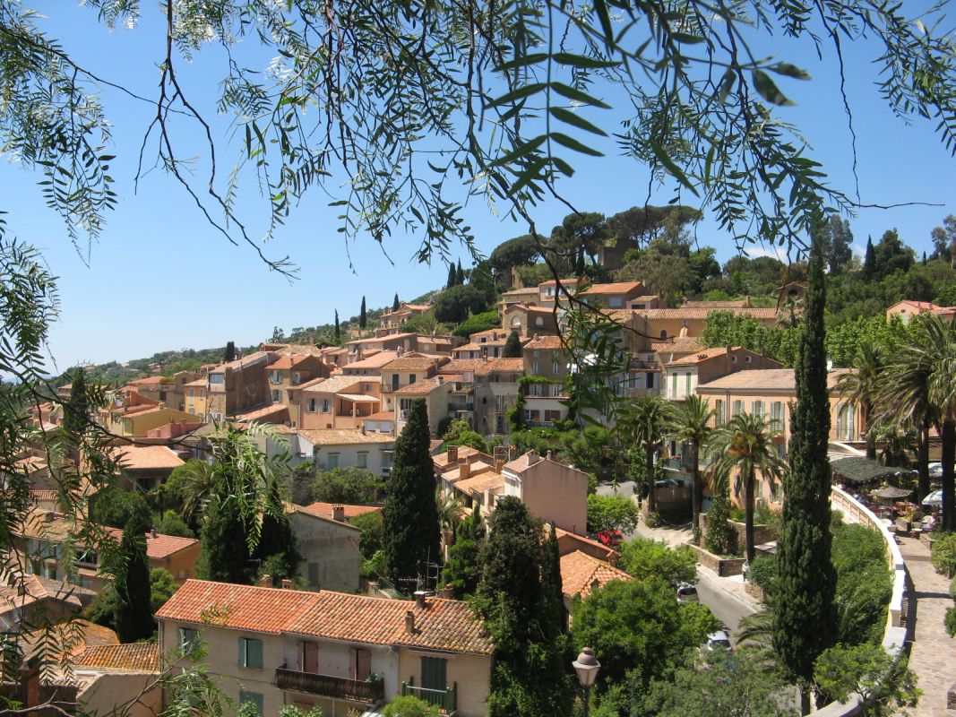 Le Domaine des Pins